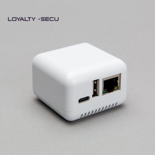 Wireless-printer-server-adapter