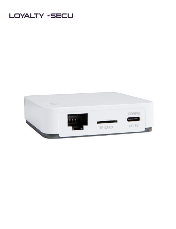 Printer-adapter-3-ports-network-2